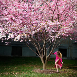 Pink Moment